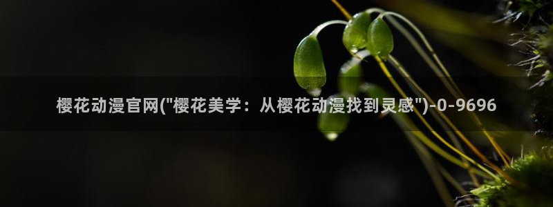 樱花动漫专注于动漫的门户网站