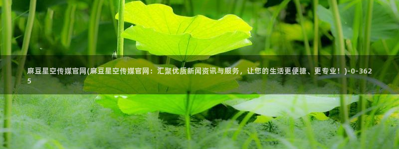 麻豆传传媒官网：麻豆星空传媒官网(麻豆星空传媒官网：汇聚优质新闻资讯与服务，让您的生活更便捷、更专业！)