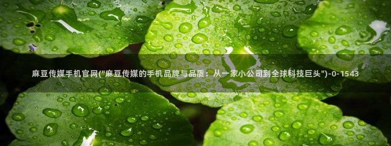 国产麻豆传媒官网：麻豆传媒手机官网(\