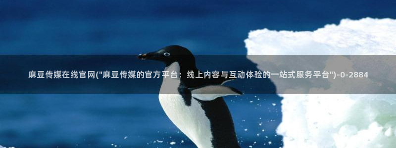 麻豆传媒在线官网