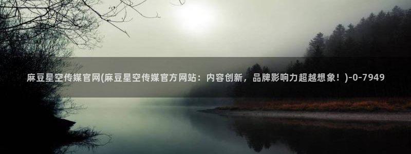 台湾麻豆传媒原创官网