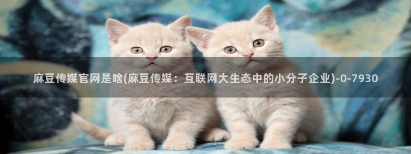 麻豆有限传媒官网