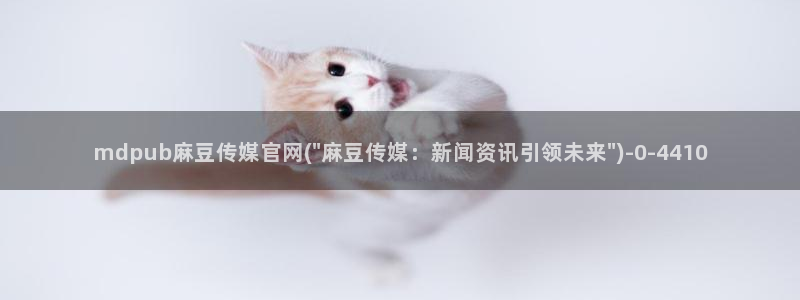 麻豆影视传媒官网黄