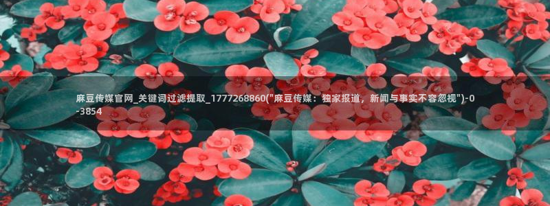 麻豆文化影视传媒官网