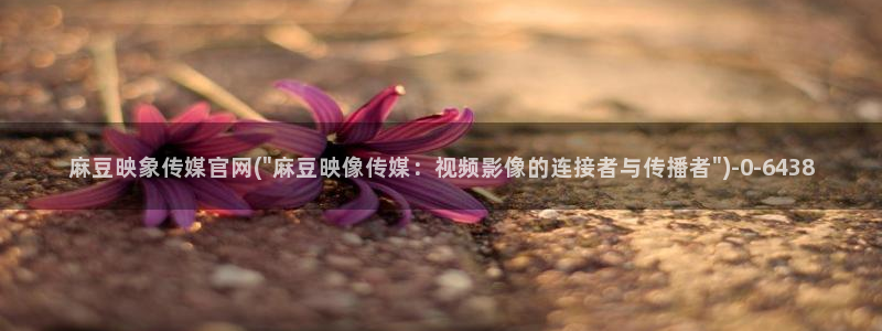 麻豆传媒官网映画：麻豆映象传媒官网(\