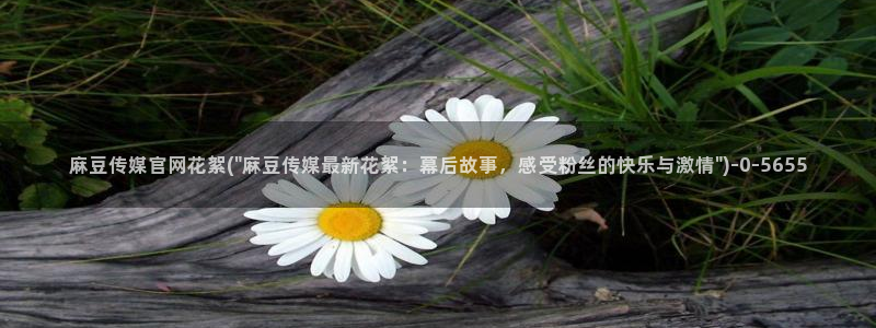 麻豆啊传媒官网：麻豆传媒官网花絮(\