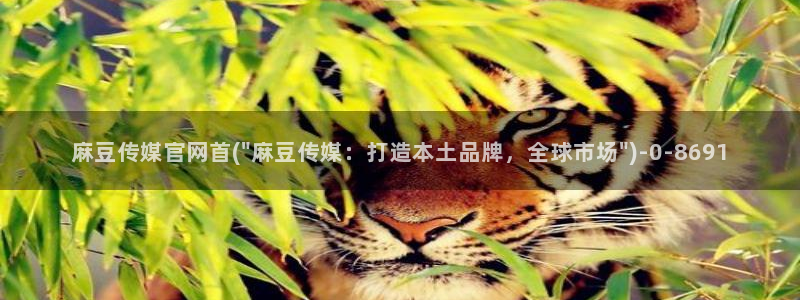 麻豆猫爪传媒官网：麻豆传媒官网首(\