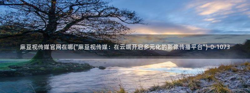 麻豆传媒官网芭乐视频