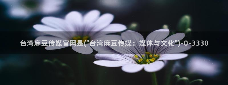 国产麻豆剧传媒官网