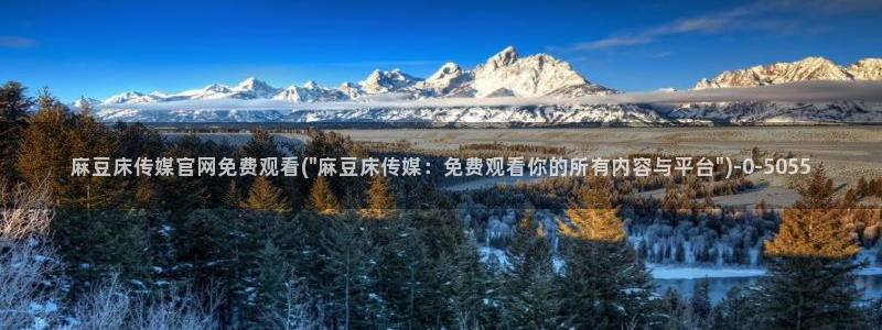 麻豆传媒官网链接