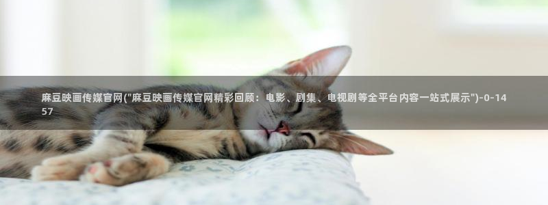 麻豆影视传媒官网黄：麻豆映画传媒官网(\