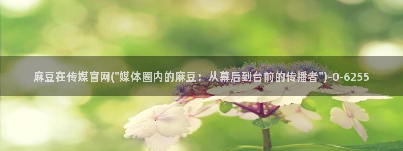 m麻豆传媒官网