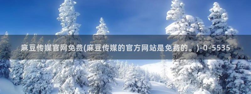 麻豆传媒影视官网入口