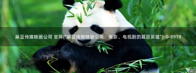 麻豆传媒官网MDSapp下载