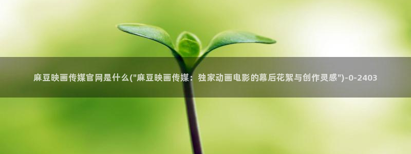 麻豆映画传媒官网首页黄：麻豆映画传媒官网是什么(\