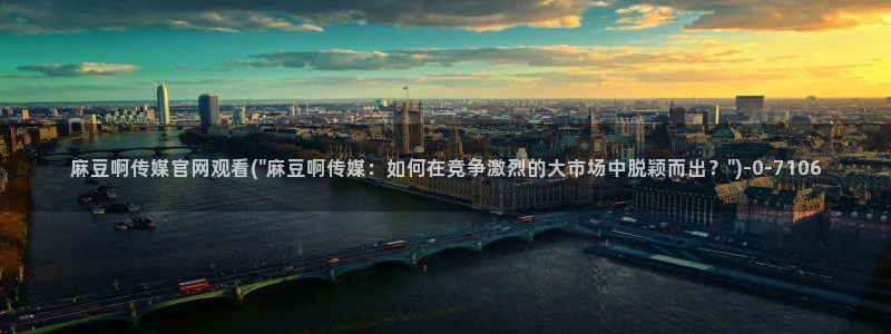 国产麻豆剧传媒官网