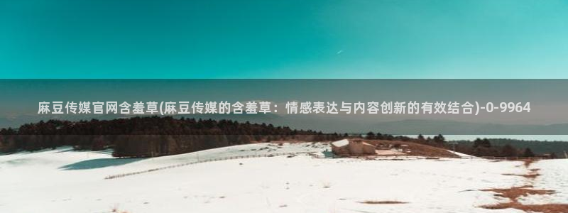 麻豆传媒动画官网