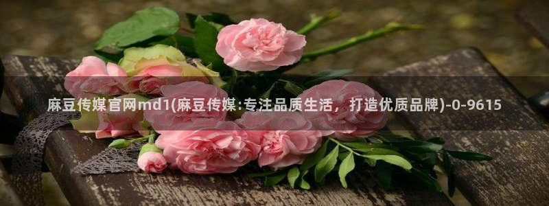 麻豆影映传媒官网