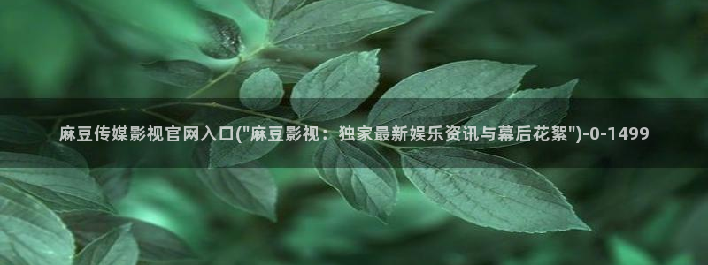 麻豆画视频传媒官网