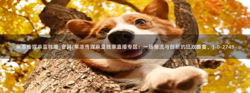 麻豆传媒官网芭乐视频