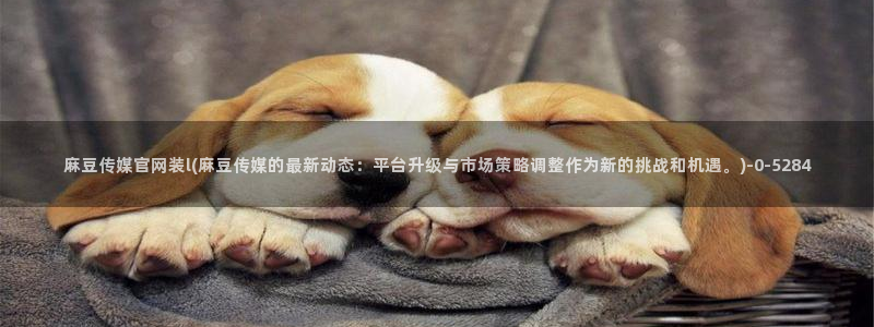 mdl pud 麻豆传媒官网