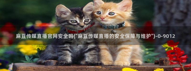 麻豆传媒映画传媒官网