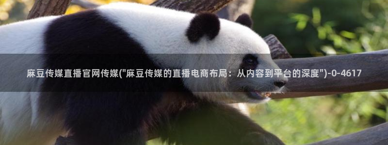 麻豆影视传媒官网入