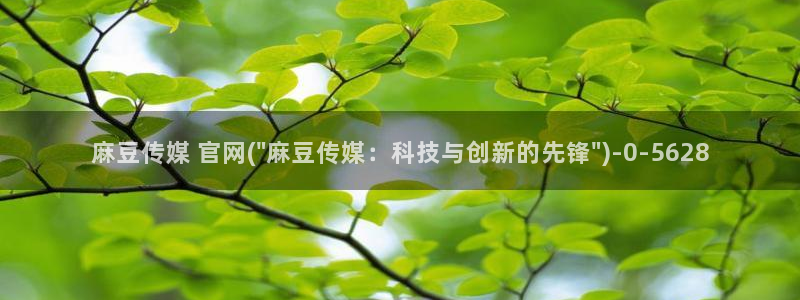 麻豆传媒动画官网：麻豆传媒 官网(\